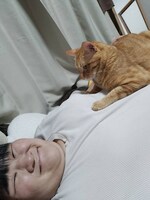 ヨネダ2000愛が飼い猫を語る、取材中にも「かわいい！」連発