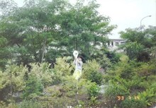 6歳のオズワルド畠中。