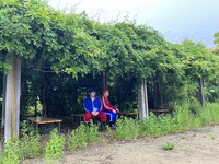 「ビスケットブラザーズの行けばわかるさ！」より。