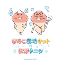 松原タニシとなめこ栽培キットのコラボイラスト。