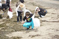 「幕張ビーチクリーン活動」の様子。