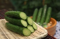 きゅうり (c)日本テレビ