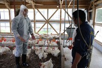 「かごピタEX モ☆ノ☆マ☆ネ 原口あきまさ＆JP 鹿児島のホンモノを探す旅」より。