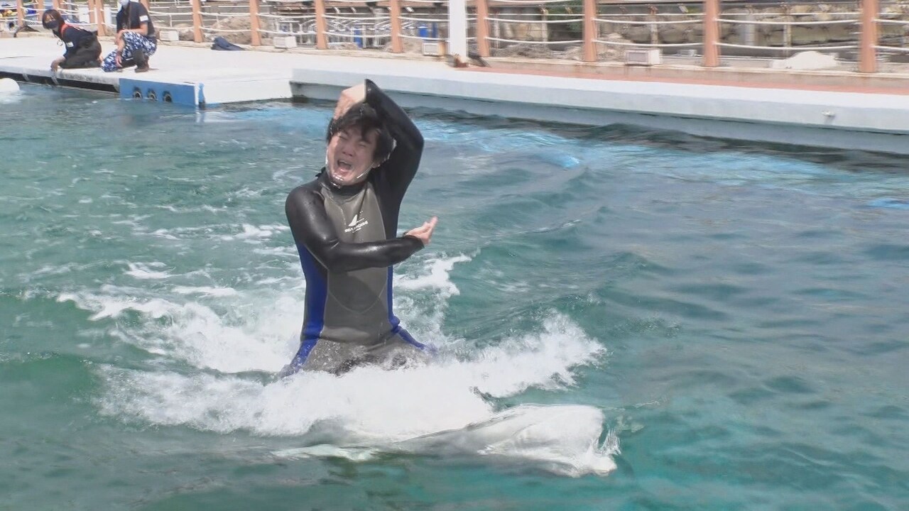 ランジャタイ、シロイルカの背中に乗る