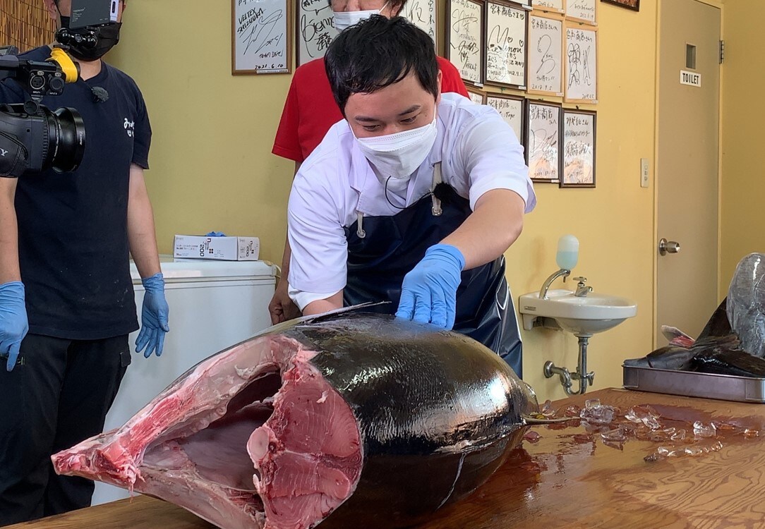 霜降り明星せいや「あてみなげ」で夢のマグロ食べ尽くし