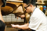 宮川大輔 (c)日本テレビ