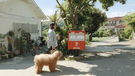 CM「ゆうパケットポスト ご近所散歩中・昼のポスト」編より。