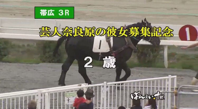 昨年行われたばんえい十勝の「芸人奈良原の彼女募集記念」の様子。