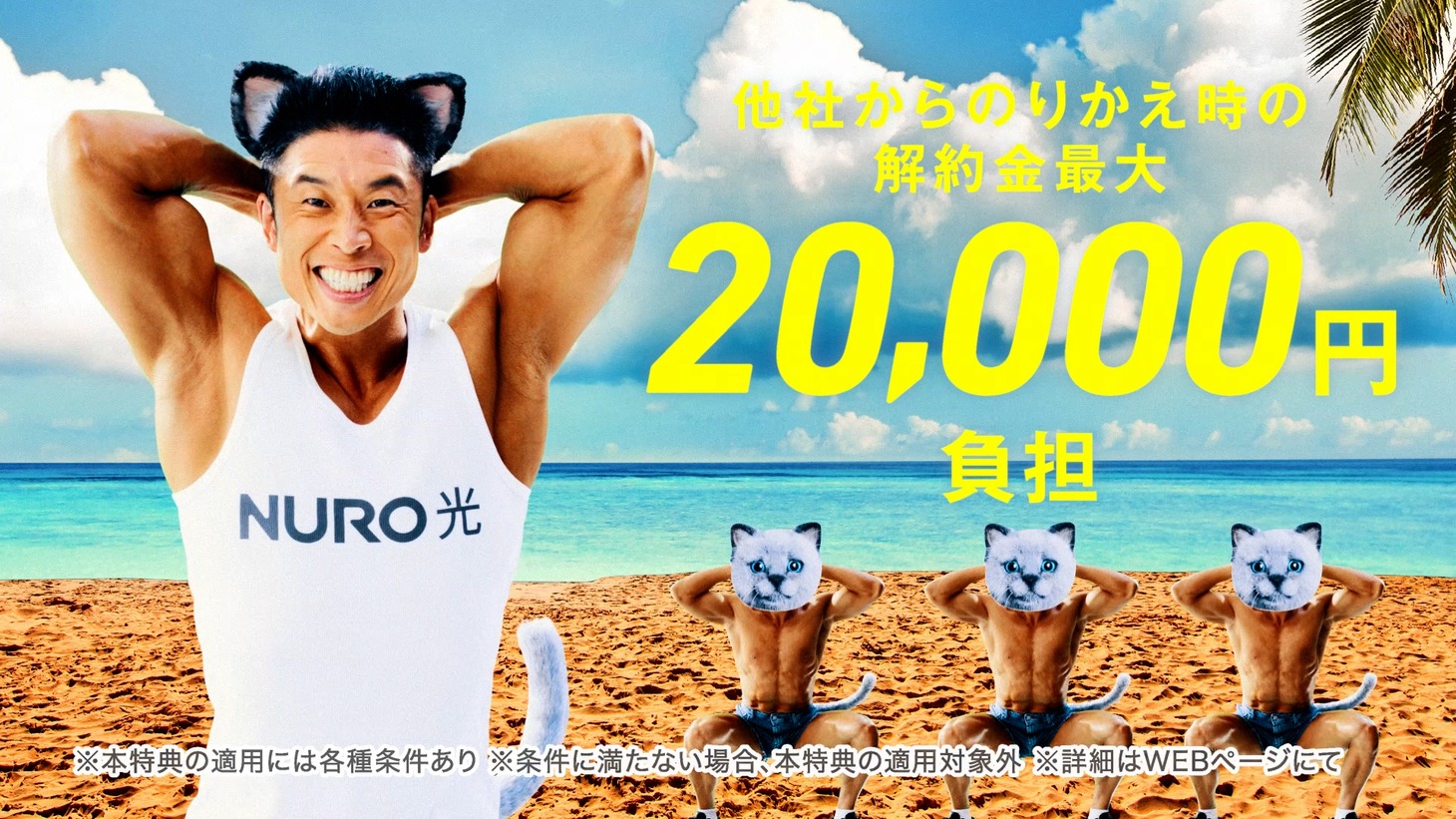 WebCM「どっちニャンだい？」編より。