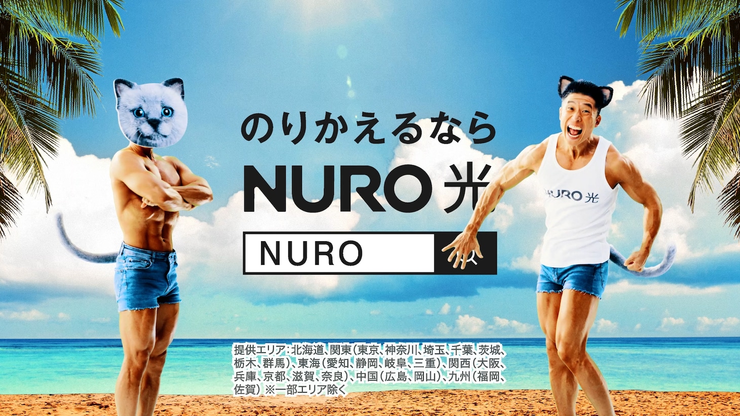 WebCM「どっちニャンだい？」編より。