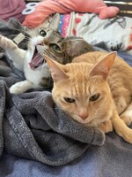 エトちゃんとトトちゃん。