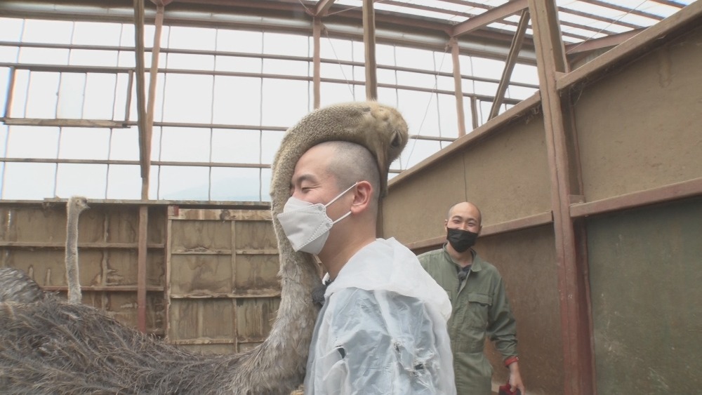 ゾフィー上田 (c)TBS