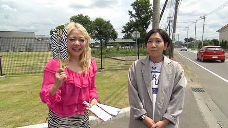 エルフ (c)カンテレ