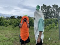 「おさんぽ北海道 ～この旅はお世話になります～ 中富良野町篇」より。(c)HBC