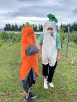 「おさんぽ北海道 ～この旅はお世話になります～ 中富良野町篇」より。(c)HBC