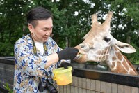 キリンにえさをやるかまいたち山内。