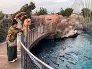 「ロバート・森三中の気ままに日帰り旅in新潟」のワンシーン。