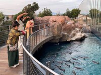 「ロバート・森三中の気ままに日帰り旅in新潟」のワンシーン。