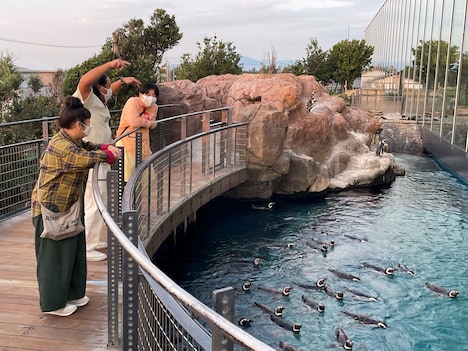 「ロバート・森三中の気ままに日帰り旅in新潟」のワンシーン。
