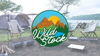キャンプ型音楽メディア「WILD STOCK」キービジュアル