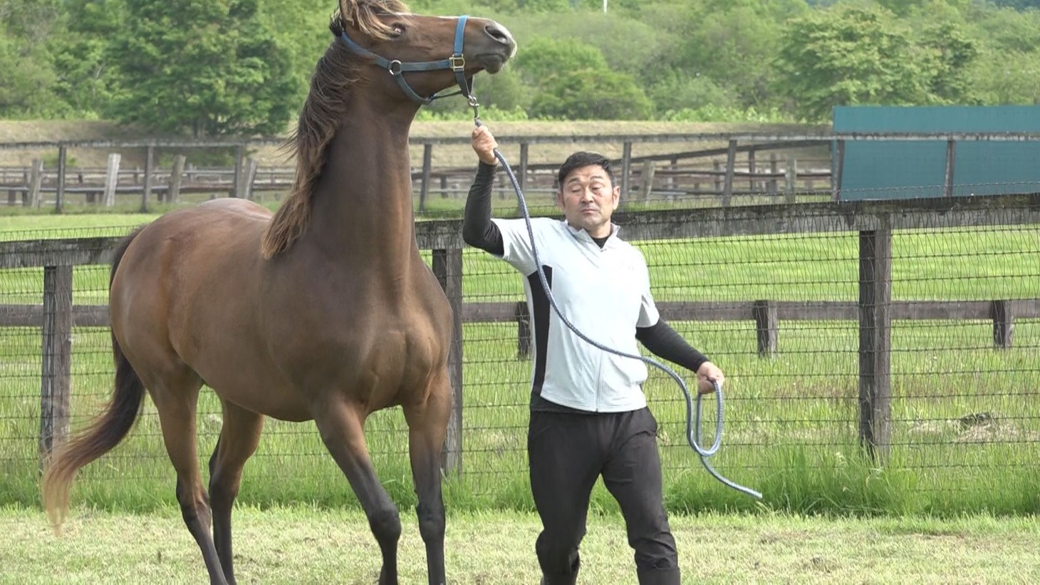 「THE 競りメンタリー ～競りに賭ける家族の物語～」より。(c)日本海テレビ