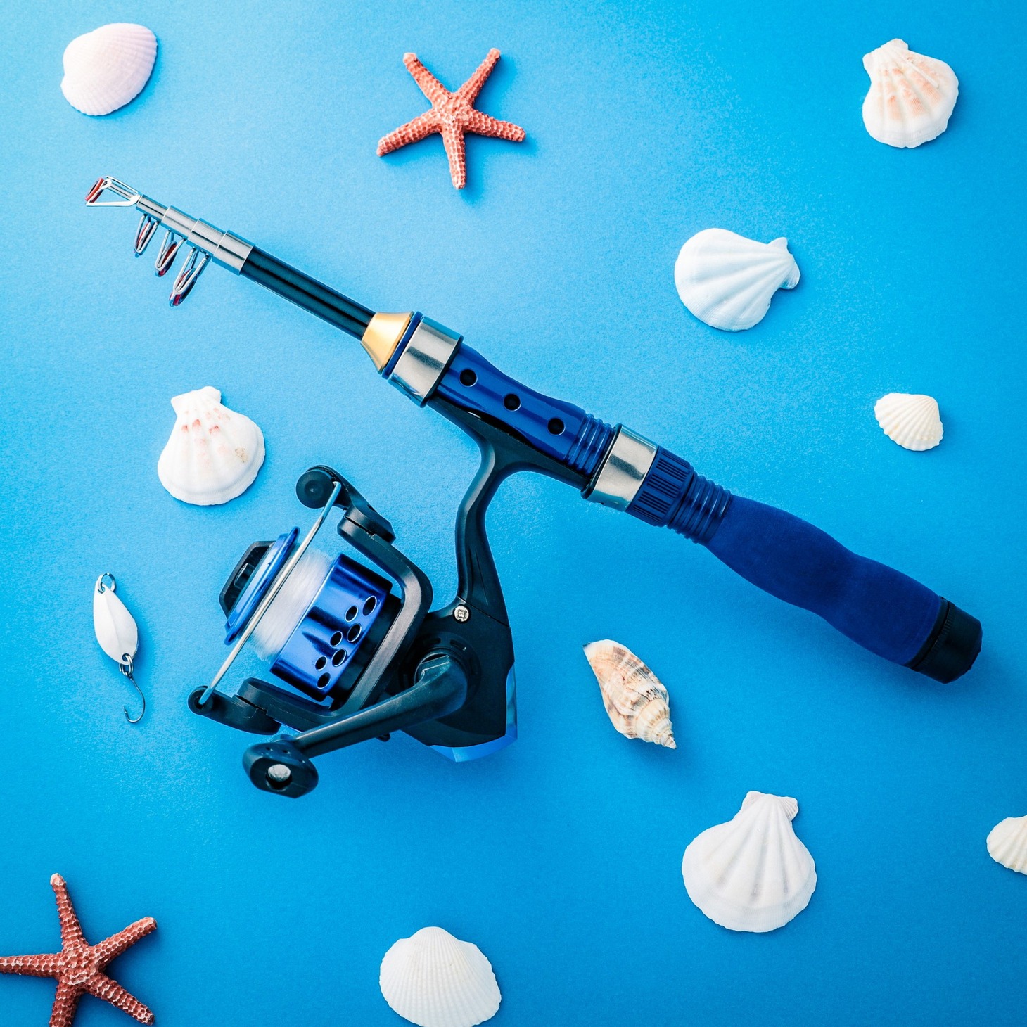 「釣り竿セット付きBOOK」に付属する釣り竿。