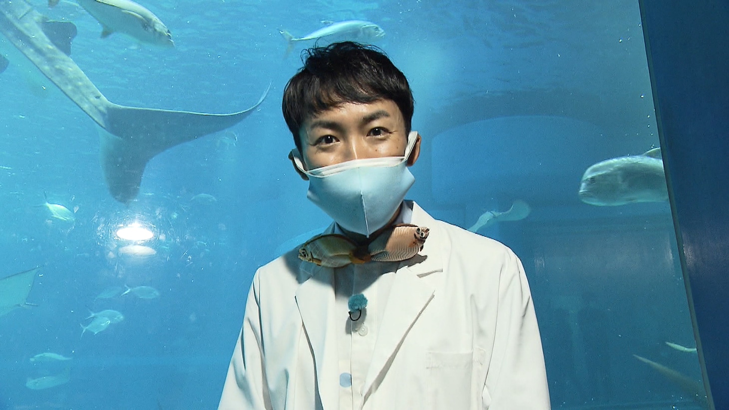 「こどもちょうせんバラエティ いろりろ」より。(c)読売テレビ