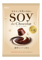 「SOY de Chocolat」大袋タイプ