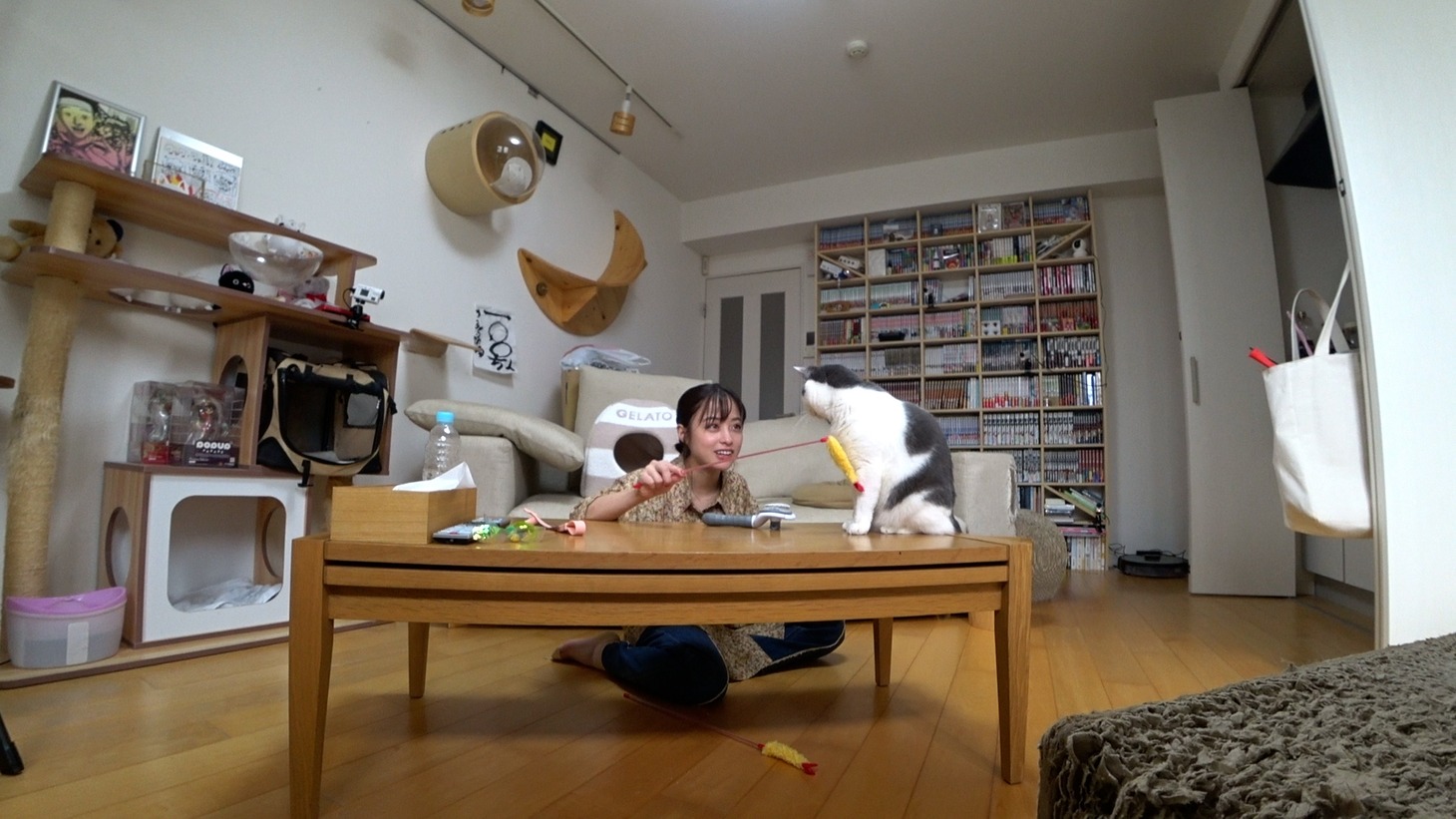 「嗚呼!!みんなの動物園」より。(c)日本テレビ