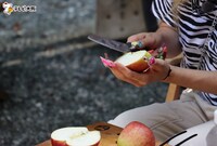 「秋キャンだいありぃず」より。