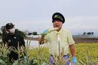 「ひむバス！」より。