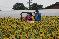 「ひむバス！」より。