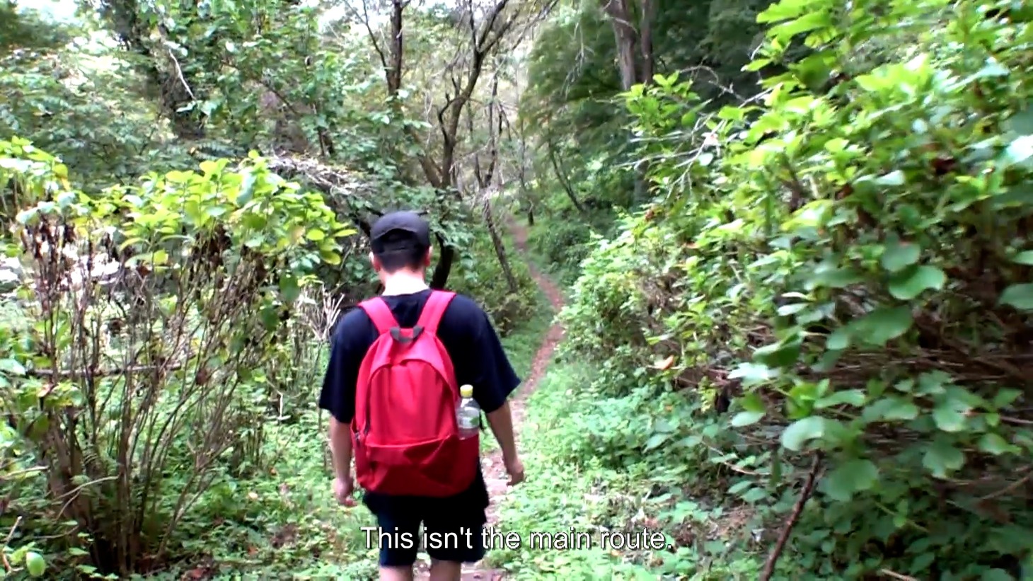 「FINDING OKADA / 岡田康太の田舎旅」のワンシーン。