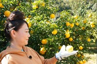 友近 (c)日本テレビ