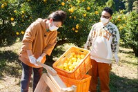 左から友近、宮川大輔。(c)日本テレビ