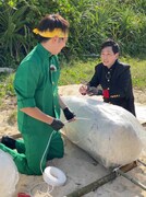 クロコップ (c)TBS