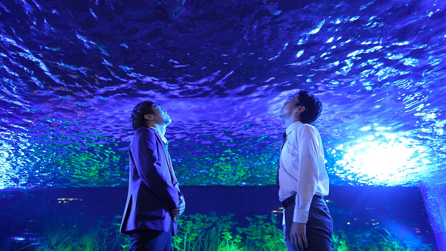 「トワイライト水族館」より。