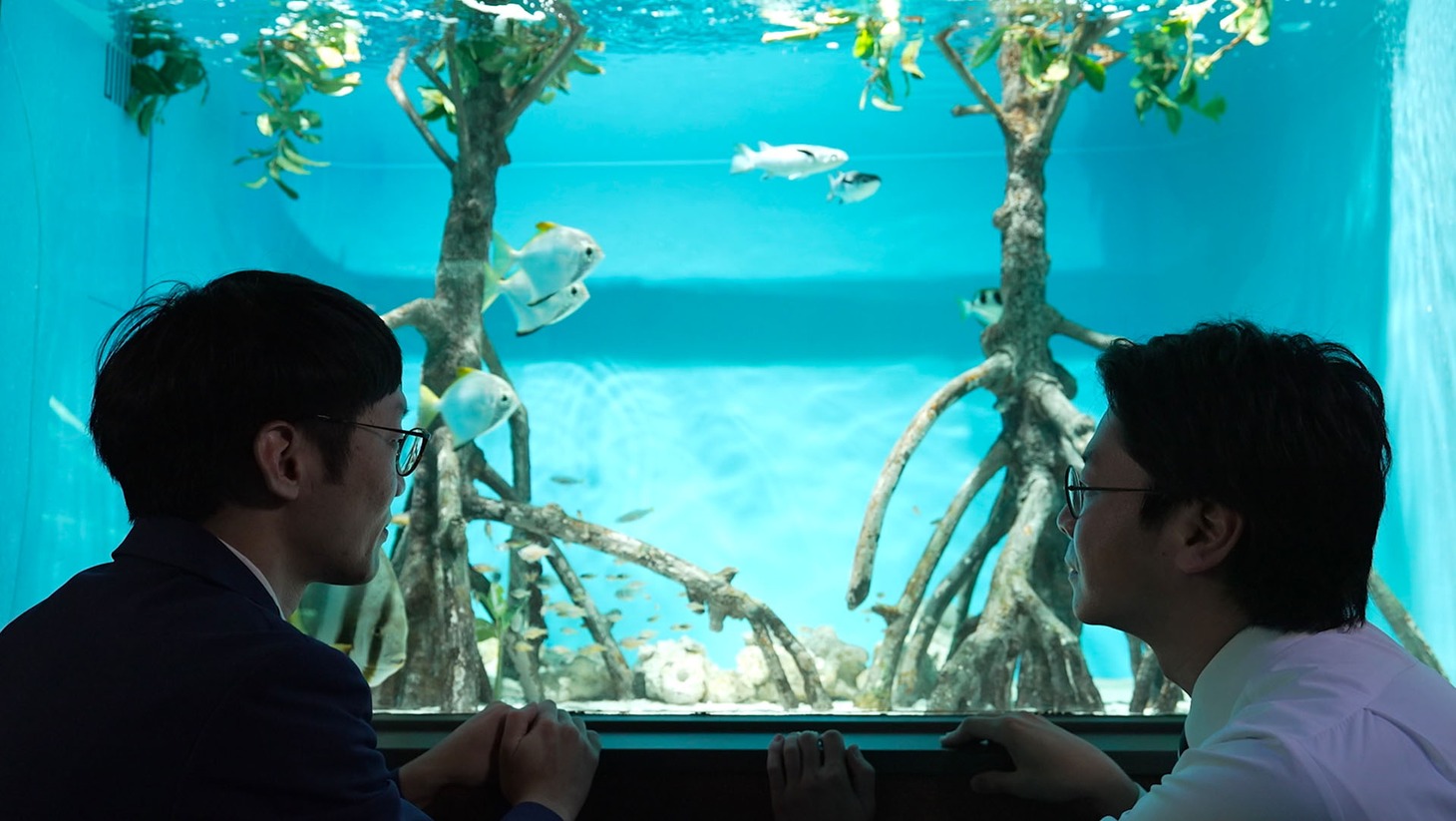 「トワイライト水族館」より。