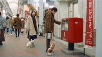 「ご近所散歩中・なんで年賀状」編より。