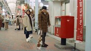 「ご近所散歩中・なんで年賀状」編より。