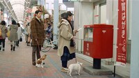 「ご近所散歩中・なんで年賀状」編より。