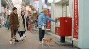 「ご近所散歩中・なんで年賀状」編より。