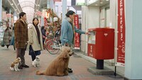 「ご近所散歩中・なんで年賀状」編より。