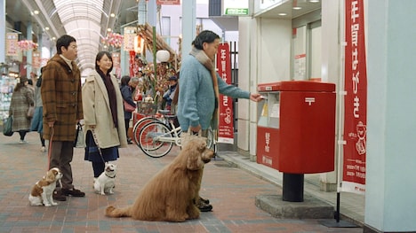 「ご近所散歩中・なんで年賀状」編より。