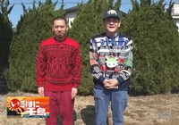 ビジュアルシートのイメージ。