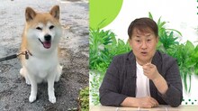 「ネコいぬワイドショー」に出演する神奈月と、愛犬のコロン。(c)BS朝日