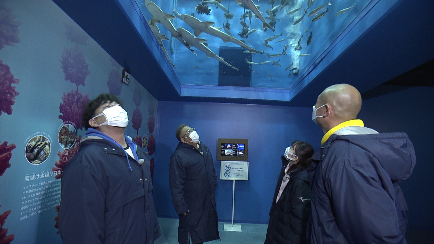 仙台うみの杜水族館でのワンシーン。(c)tbc東北放送