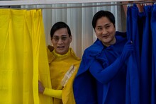 きつね (c)日本テレビ