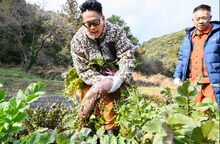 左から宮川大輔、FUJIWARA原西。(c)日本テレビ