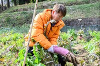 FUJIWARA藤本 (c)日本テレビ